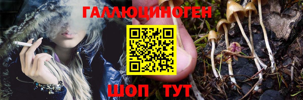 Егорьевск  Псилоцибиновые грибы Psilocybine cubensis  Вход с VPN  Псилоцибиновые грибы Psilocybine cubensis 