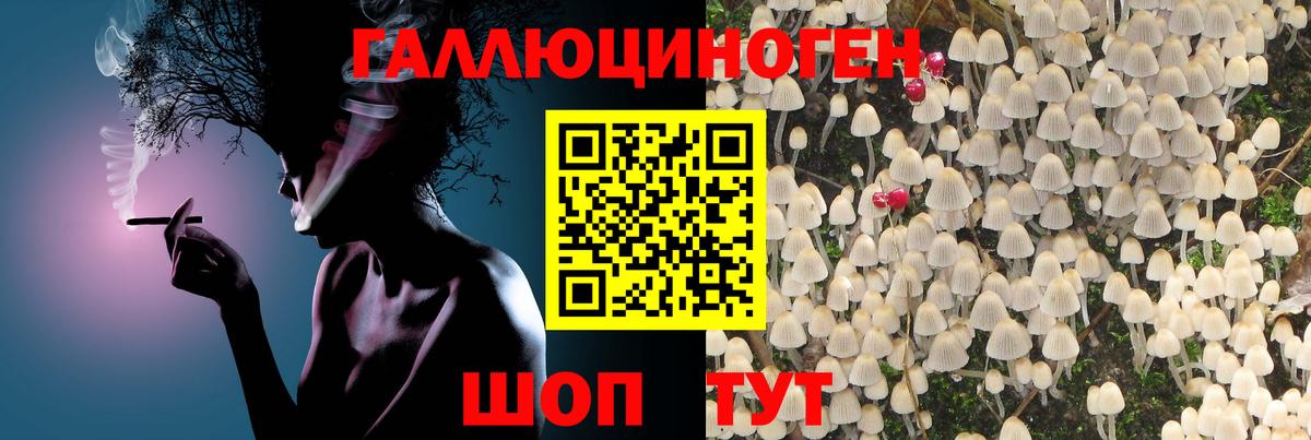 Галлюциногенные грибы Magic Shrooms Егорьевск